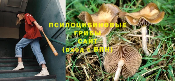 круглые Абаза