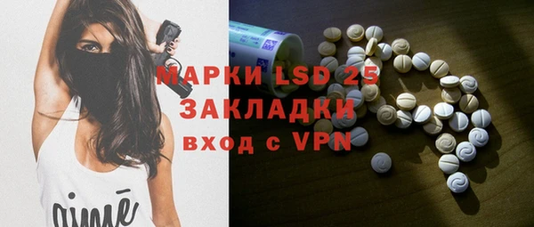 прущие грибы Абинск