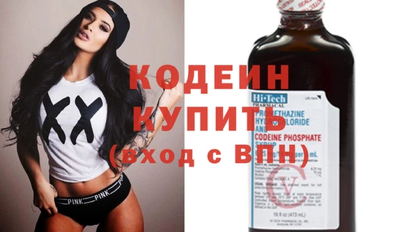 прущие грибы Абинск