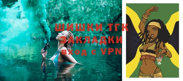 прущие грибы Абинск