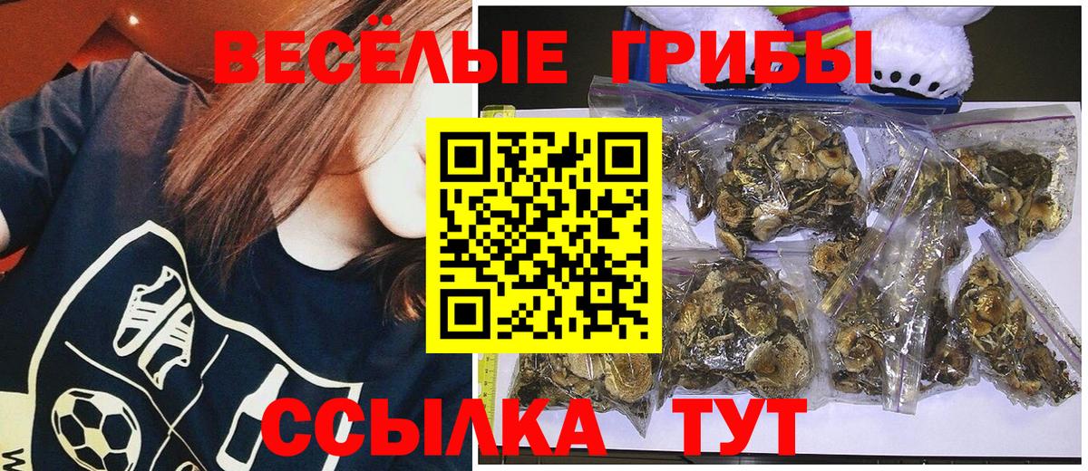 Псилоцибиновые грибы GOLDEN TEACHER Скопин