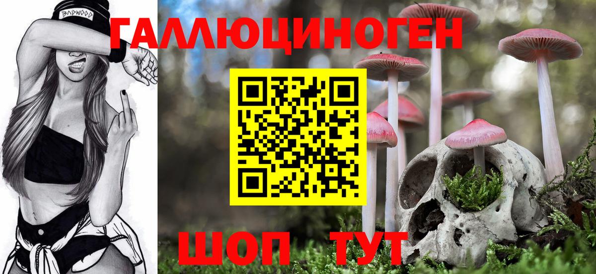 Бошки Шишки  Вход с VPN  Мефедрон   Скопин  Alpha PVP СК кристаллы  ГАШ  КОКАИН 