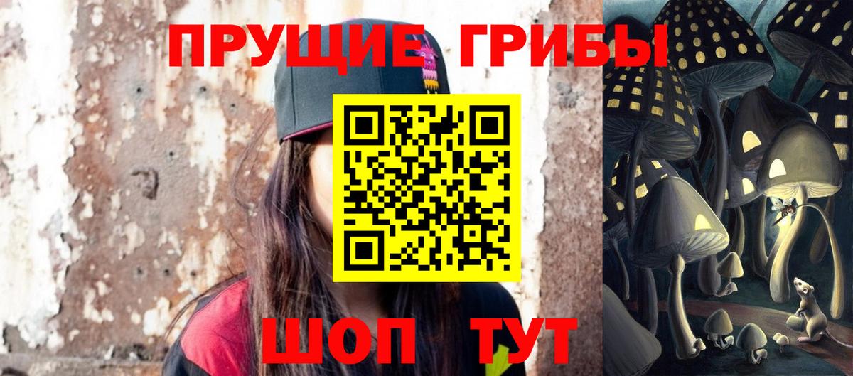Скопин  Псилоцибиновые грибы Psilocybine cubensis  дарнет шоп  Вход с VPN 